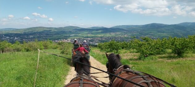 WhatsApp Image 2025-06-16 à 10.23.03_8efc92cc