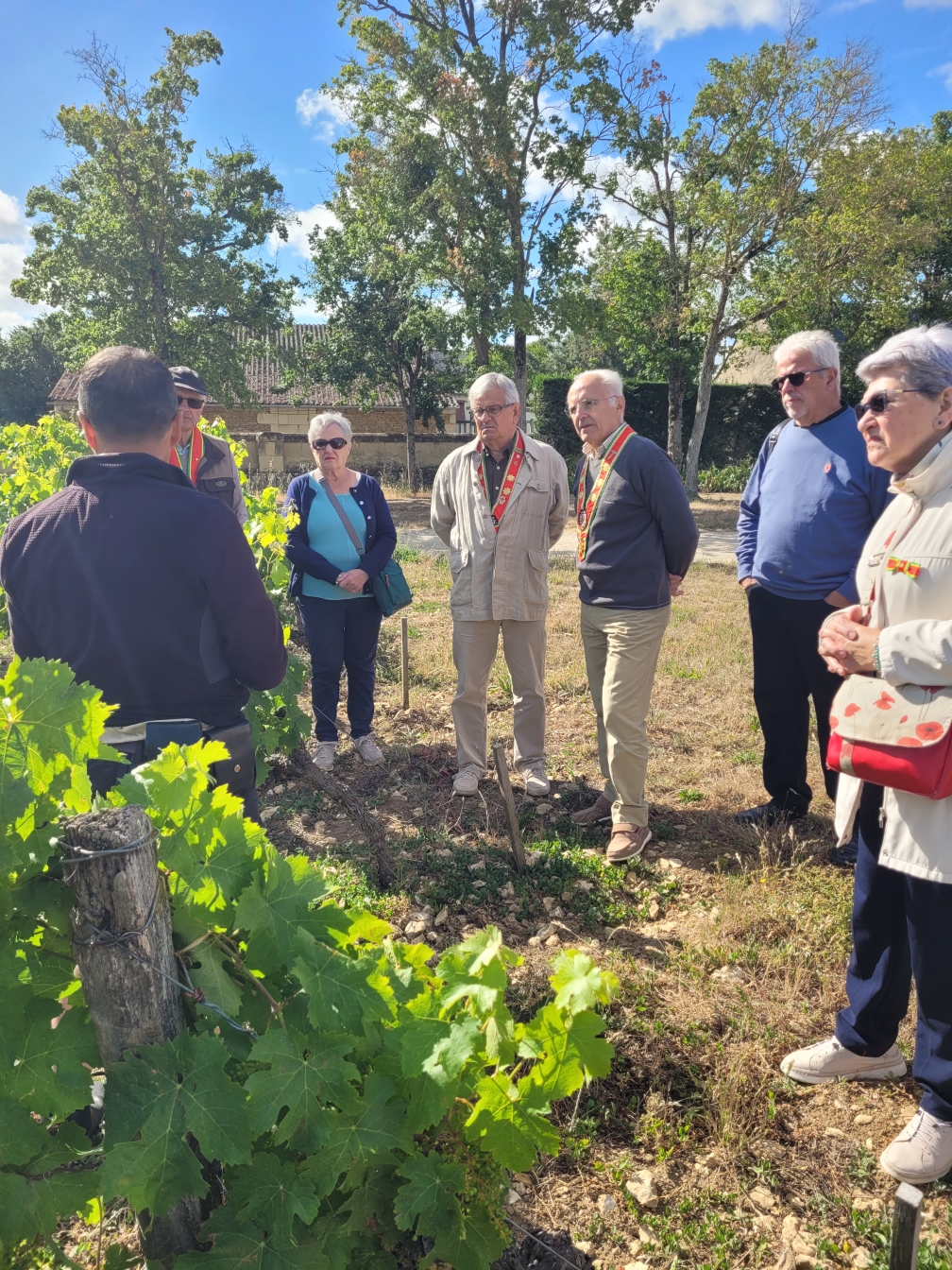 Journée découverte dans les vignes 10 juin 2026