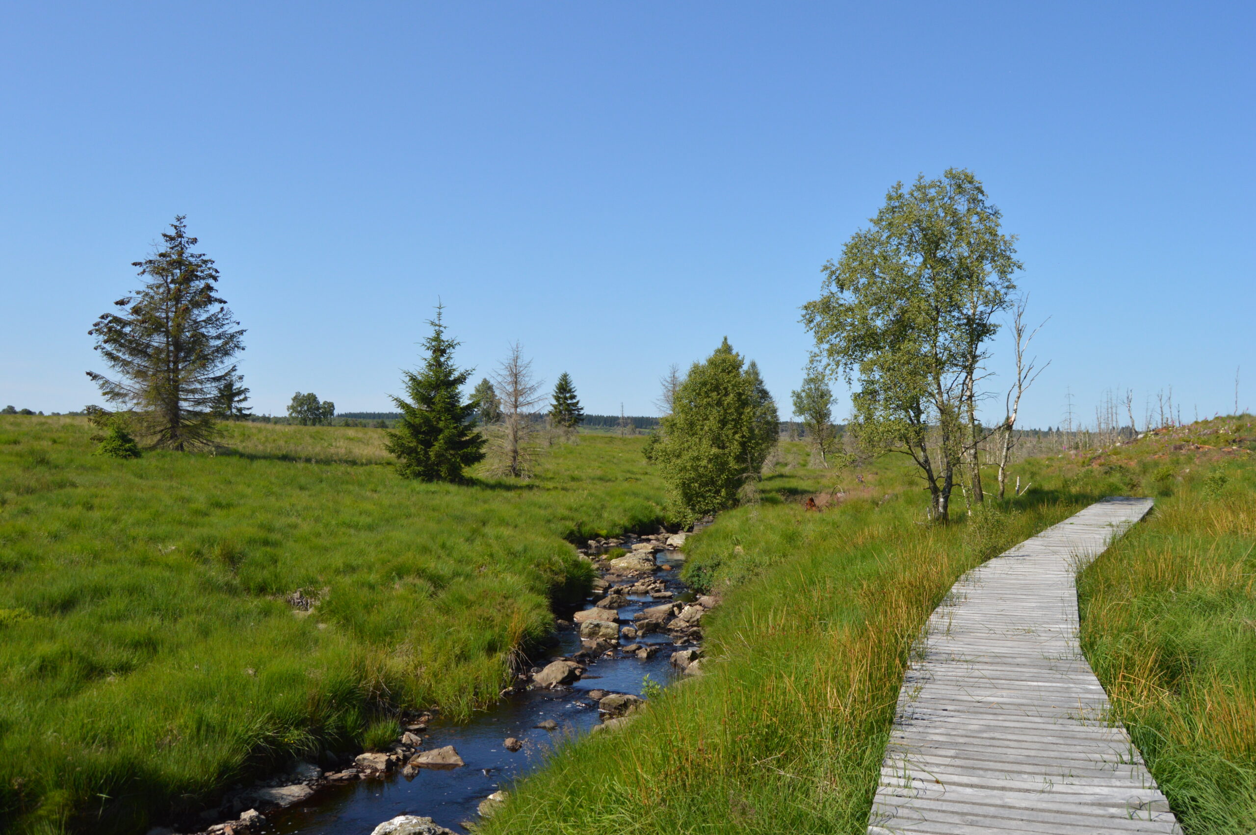 Dimanche 6 septembre 2026 BALADE DANS LES HAUTES-FAGNES